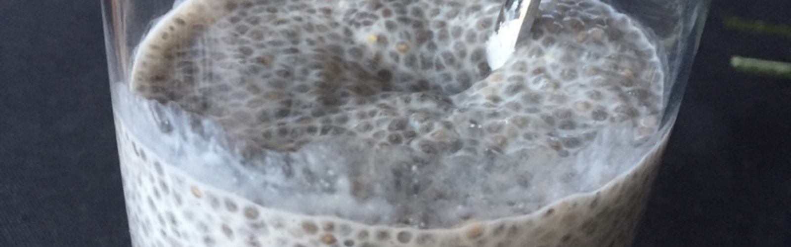 The Chia Challenge!