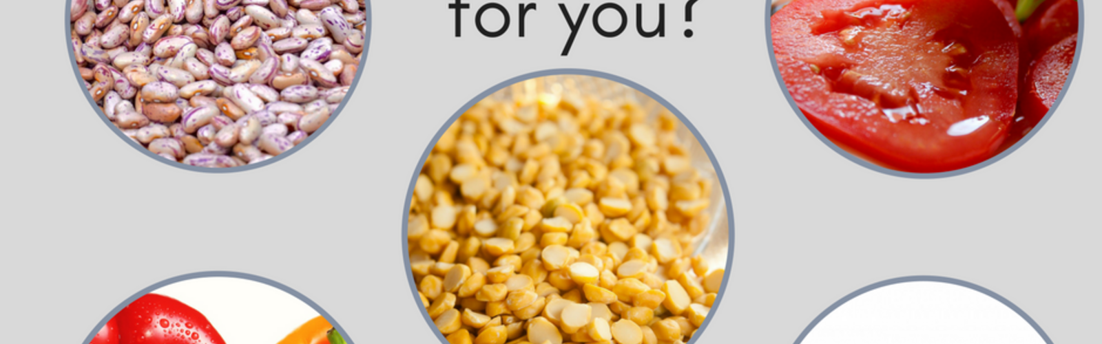 Lectins - What Are They? Love Them or Leave Them?