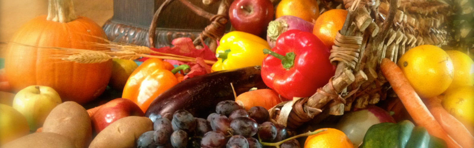 Navigating Your Vegan Diet: A Brief Guide For Beginners