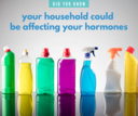 Environmental Pollution in the Home: Everyday Things May be Harming Your Health