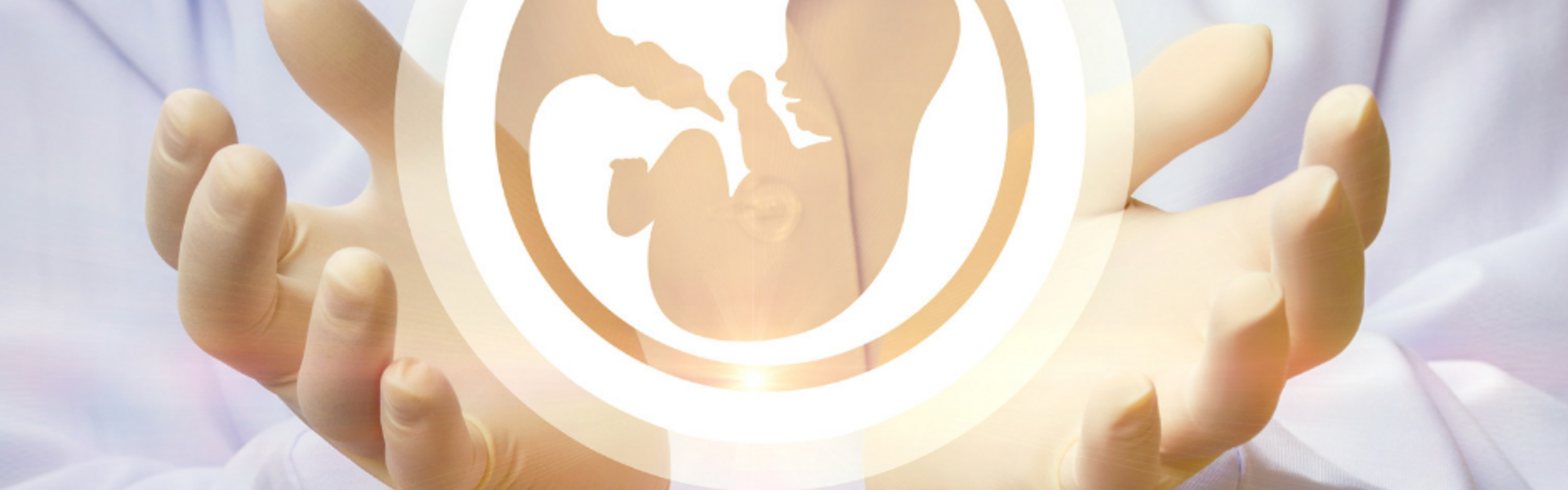 My Fertility Update