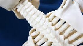 Photo for Osteoporosis